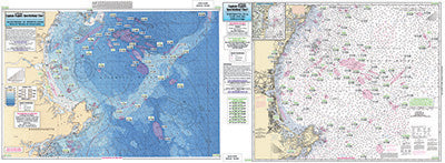 CAPTAIN SEGULL CA201 CHART